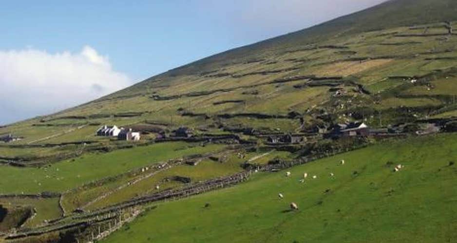 Dingle Peninsula Walk