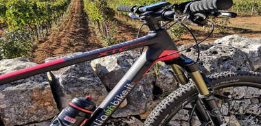 Open guided bike tour in Locorotondo and Alberobello