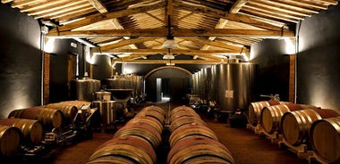 Siena: A Wine Tour and Tasting Experience 