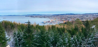 Explore the beautiful nature of Trondheim