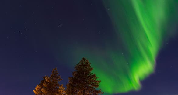 Photo of Aurora over trees in Kuusamo, Finland.
