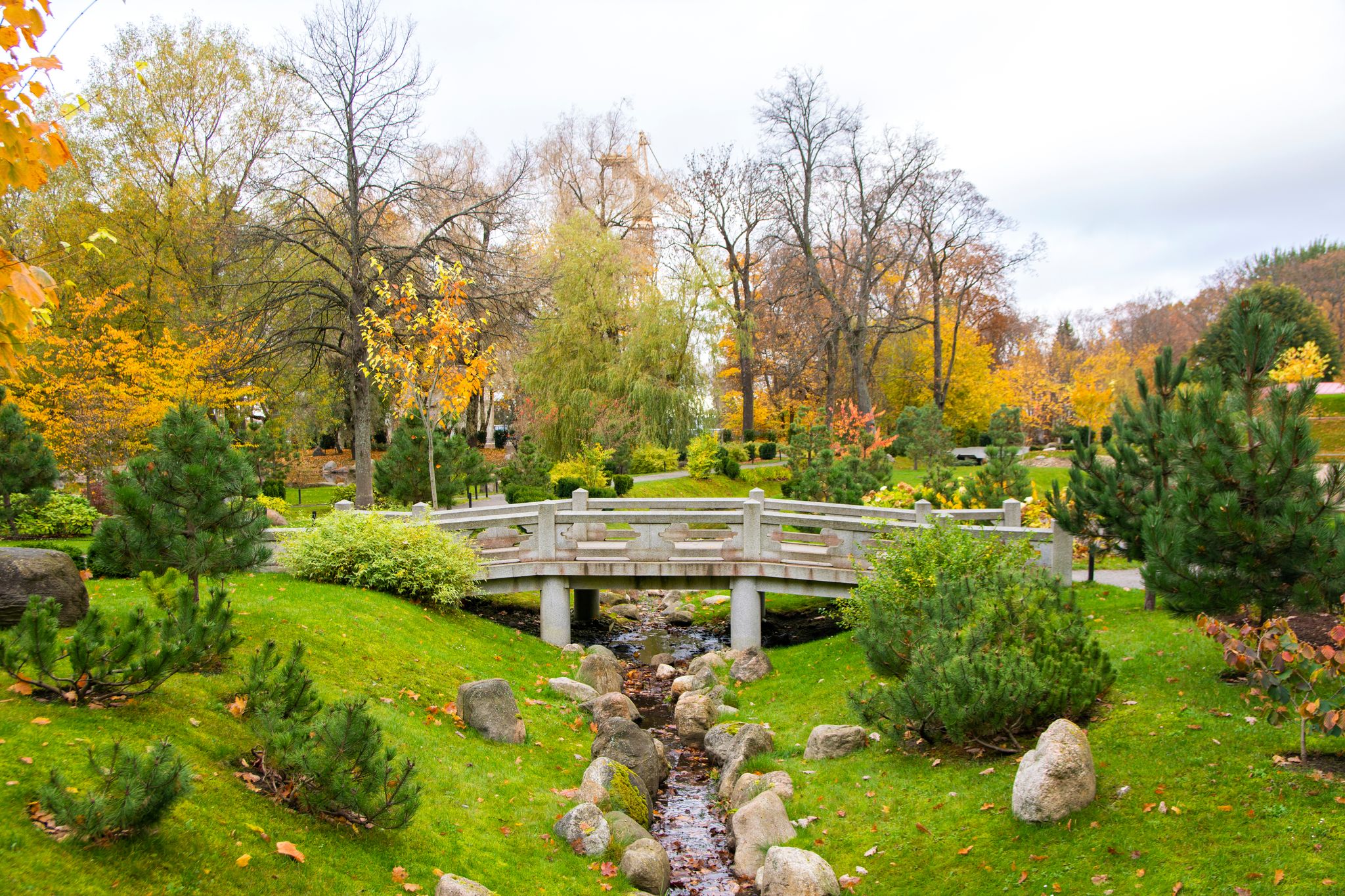 Photo of view of Japanese garden in Kadriorg park, Tallinn, Estonia.