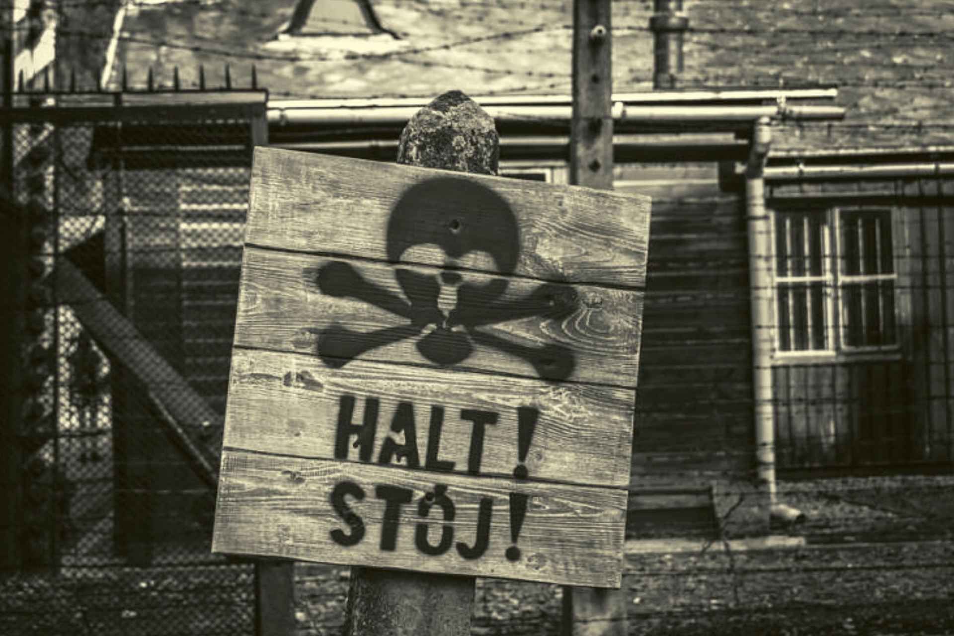 From Lodz: Auschwitz-Birkenau Small-Group Tour with Lunch