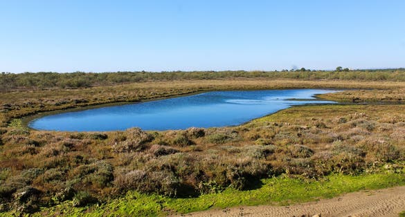 Photo of National swamp of Vila Real de Santo António in porugal.
