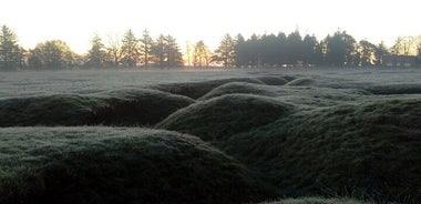 Full Day Private New Zealander Battlefields Tour from Arras