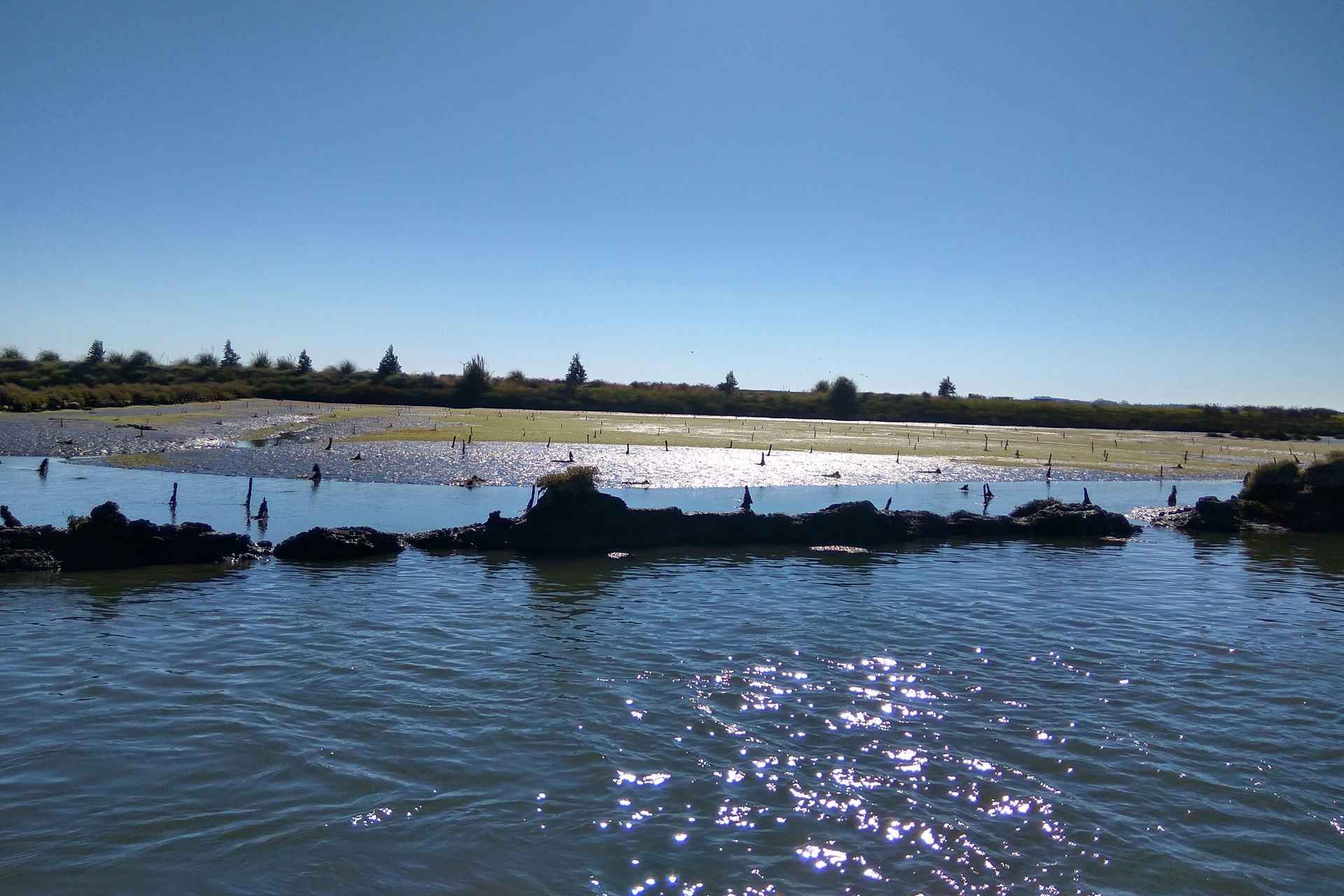 Industry or Nature Boat Tour | Speedboat