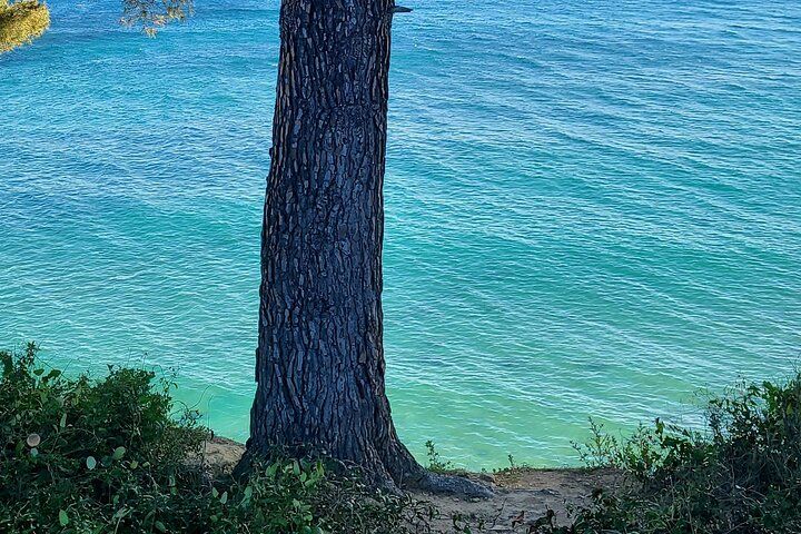 Private Day Trip between St Cyr and Cassis!