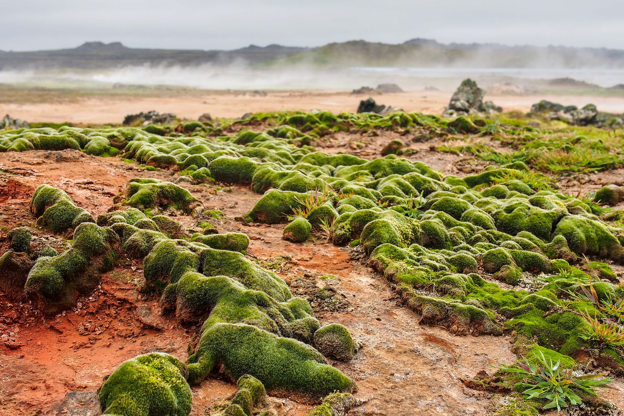 Geothermal field of Gunnuhver, Reykjanes Reykjanes Peninsula, Iceland (IÃ?Â�sland).