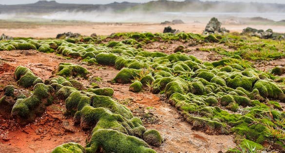 Geothermal field of Gunnuhver, Reykjanes Reykjanes Peninsula, Iceland (IÃ?Â�sland).