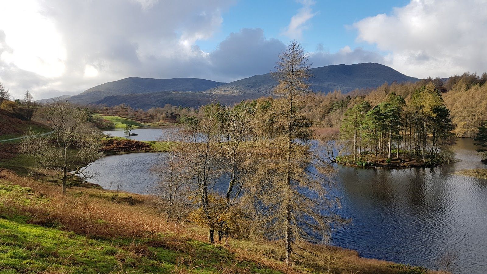 National Trust - Tarn Hows, Coniston, South Lakeland, Cumbria, North West England, England, United Kingdom