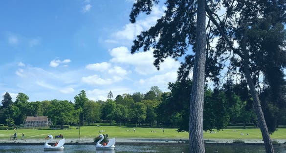 Photo of sunny day at Cannon Hill Park, Birmingham, UK.