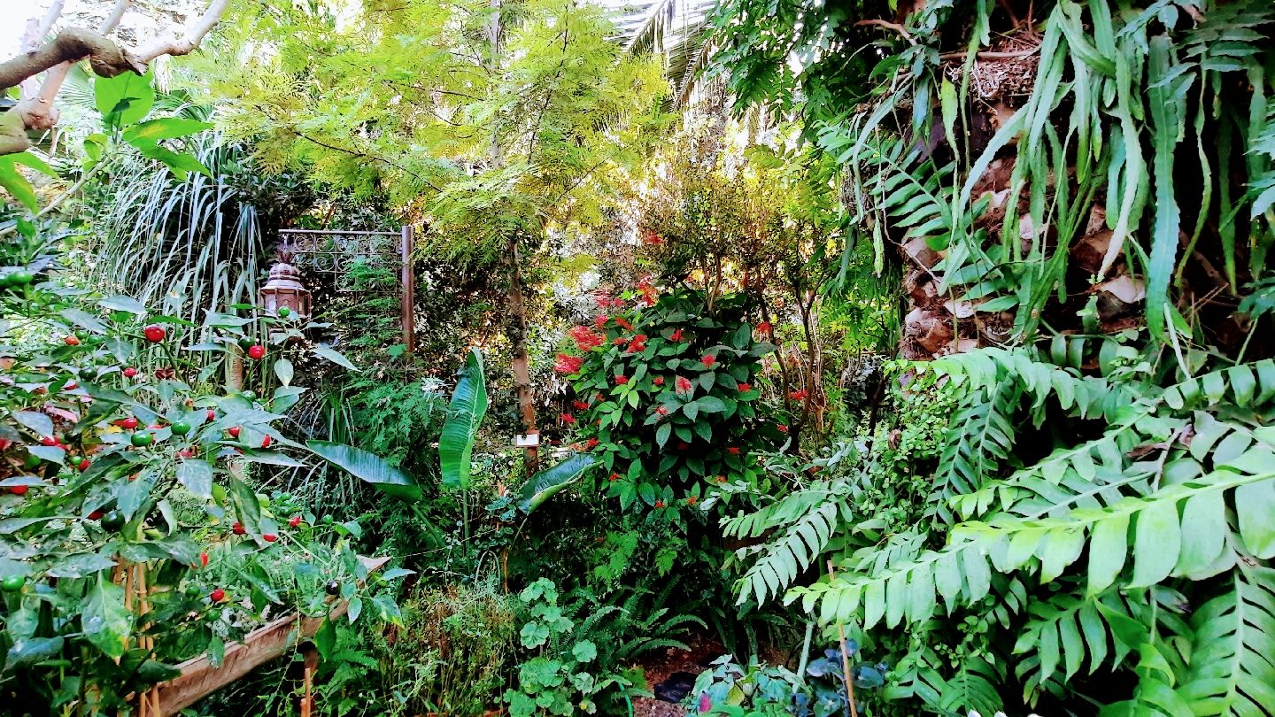 La Almunya del Sur Botanical Garden, El Ejido, Almeria, Andalusia, Spain