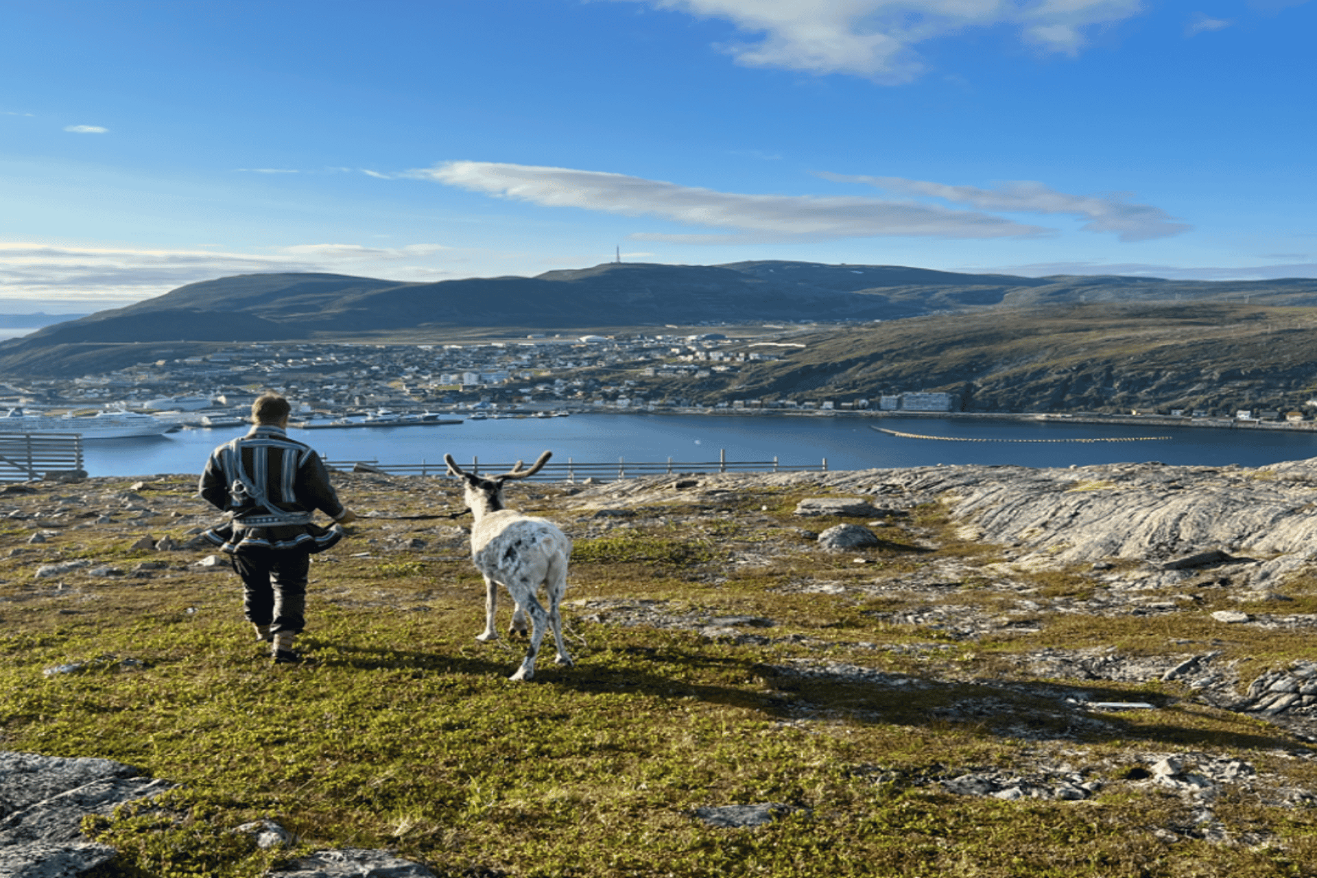 Reindeer and Stories: A Sami Cultural Adventure