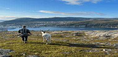 Reindeer and Stories: A Sami Cultural Adventure