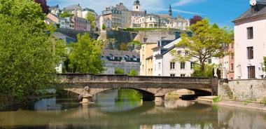 The Rhine & Moselle: Canals, Vineyards and Castles 2025