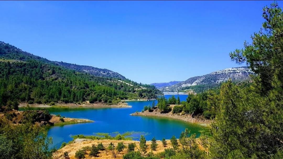Paphos Forest, Nicosia District, Cyprus