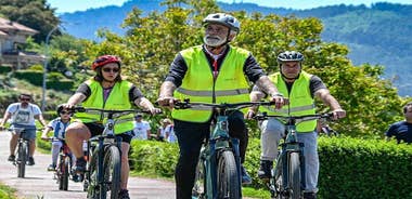 Discover the culture and coast of Vigo by electric bike