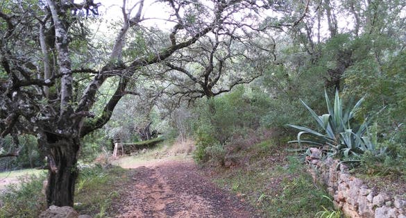 Fonte Benémola ,Loulé,Portugal