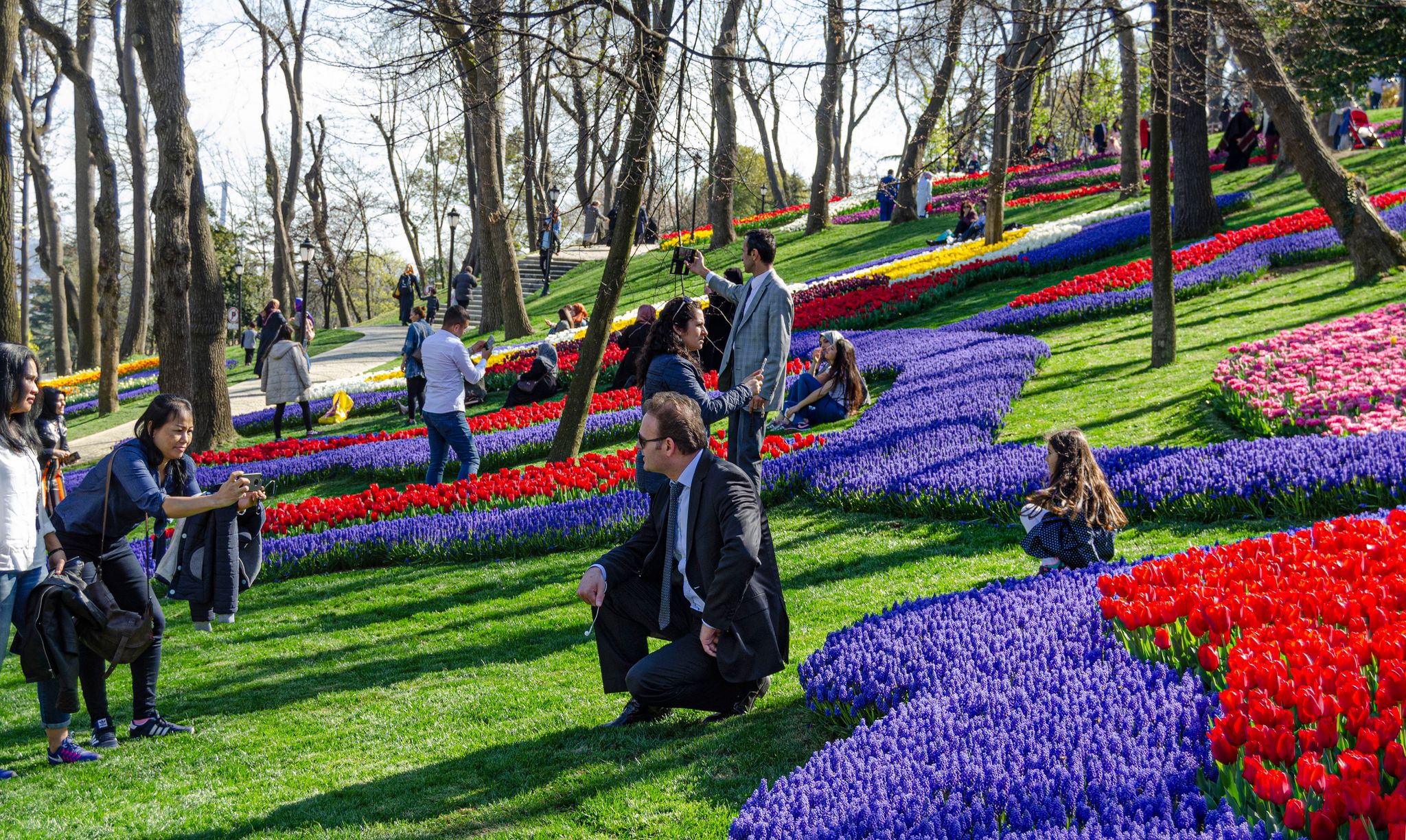 Turkey, Istanbul, Emirgan Park Tulip Festival