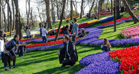 Turkey, Istanbul, Emirgan Park Tulip Festival