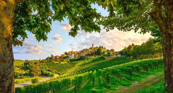 photo of Neive village, Langhe vineyards and trees as a frame. Unesco Site, Cuneo, Piedmont, Northern Italy Europe.