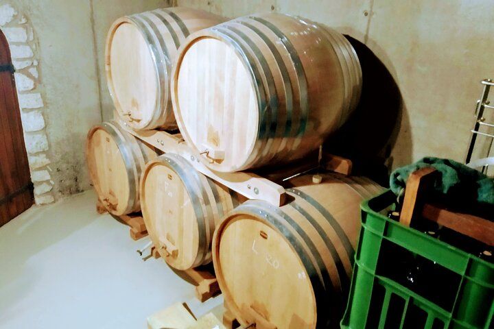  Wine Tasting Tour in Tokaj Wine Region Slovakia. With transport