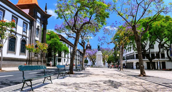 Photo of Funchal cityscape with main street at sunny summer day, Portugal.