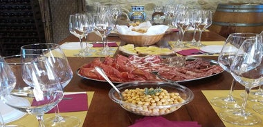 Private visit to the Brugnoni winery with tasting of 4 wines