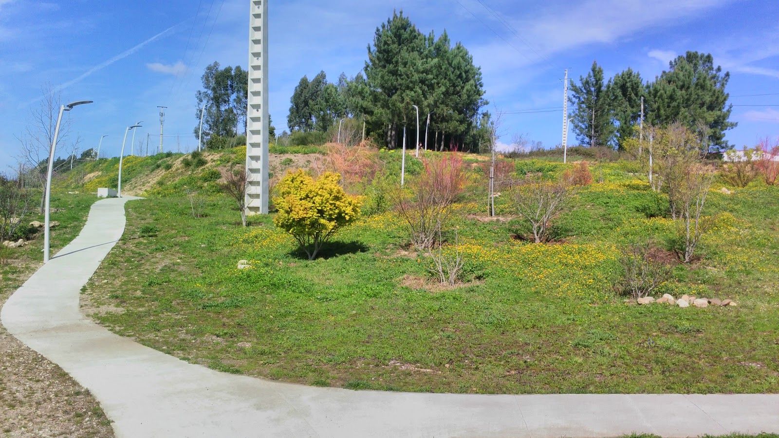 Parque Botanico Vale Domingos, Águeda, Águeda e Borralha, Aveiro, Baixo Vouga, Centro, Portugal