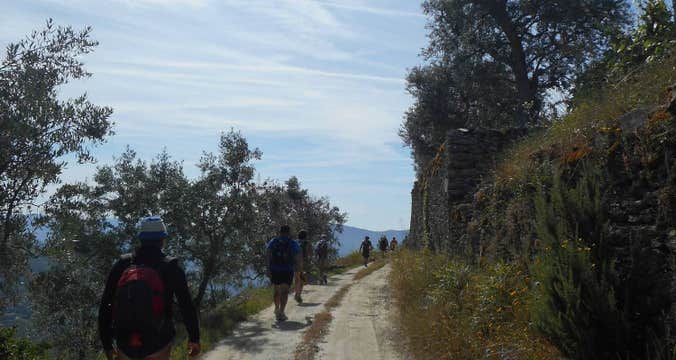 Douro Vineyards Hike
