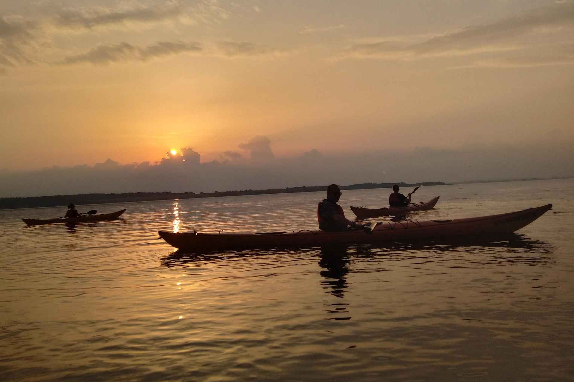 Guided kayaking on Roskilde Fjord: Sunset tour