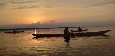 Guided kayaking on Roskilde Fjord: Sunset tour