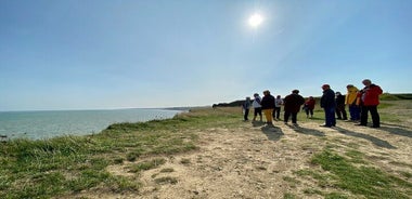 Normandy American & British DDay Beaches Halfday Tour from Bayeux