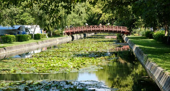 photo of  view of This the outflow canal of the Lake Hévíz (Hungary) with warm healing water. This lake is the world's largest biologically-active natural thermal lake. New tropical fish species noted in the canal.