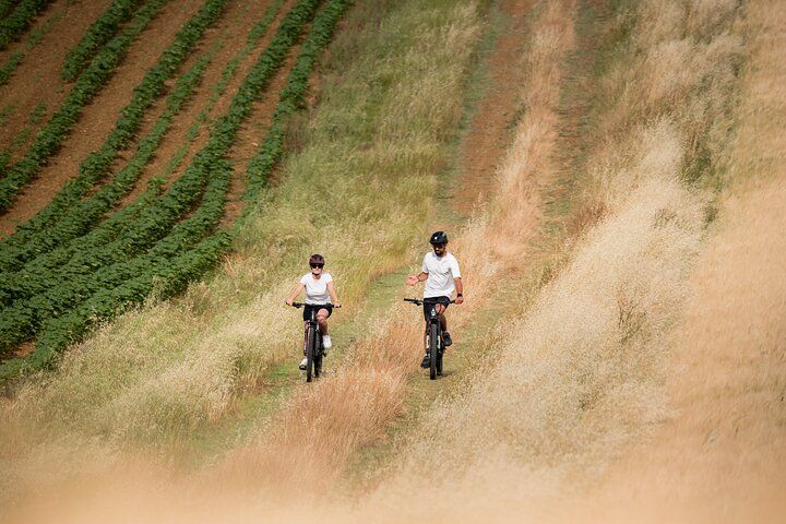 Pienza - Ebike tour for a full immersion in Val d'Orcia.