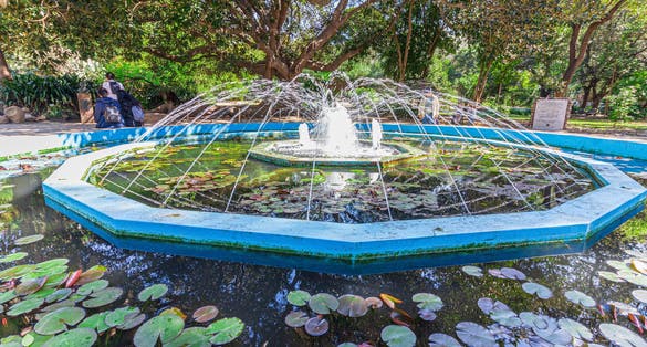 Fountain in the Botanical Garden of Cagliari. Sardinia, Italy