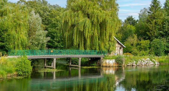 scenery around the Hortillonages in Amiens, a city and commune in northern France. It shows a idyllic park scenery named floating gardens of Amiens in sunny ambiance at summer time
