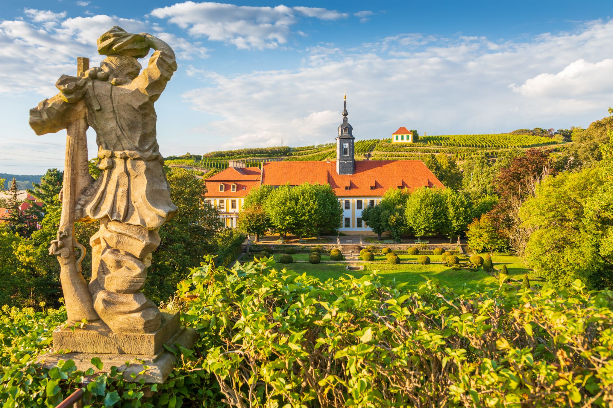 Wine growing in Meissen at the Saxon Wine Route, Germany