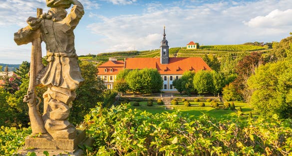 Wine growing in Meissen at the Saxon Wine Route, Germany