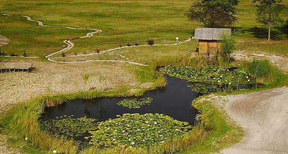 photo of view of Magyarkert, Jakabszállás, Hungary.