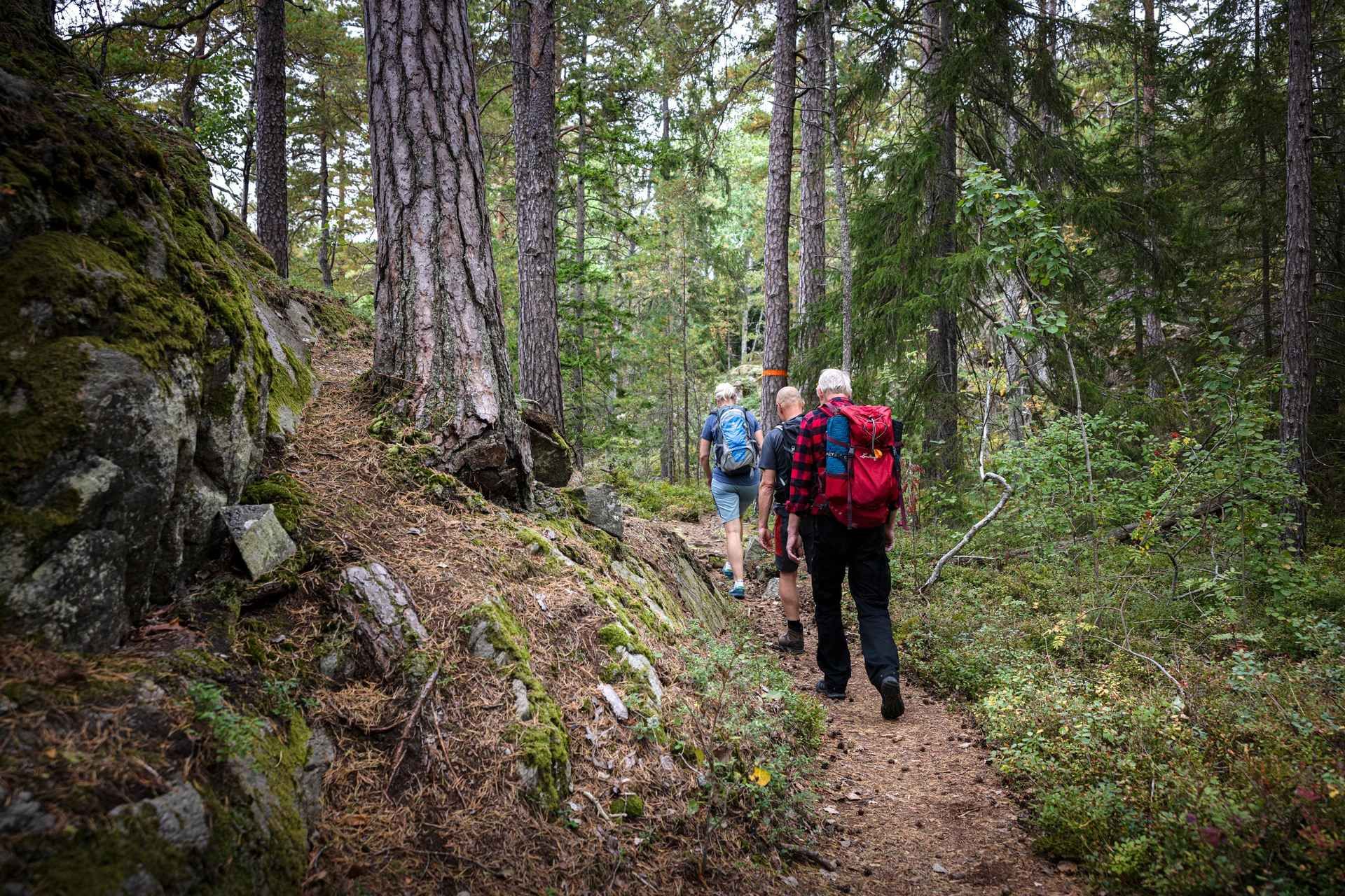 Tiveden National Park: Morning Tour with Breakfast
