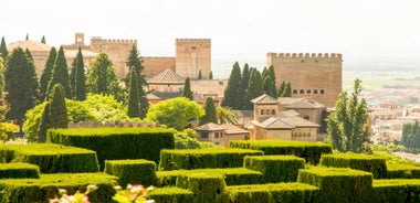 Alhambra Guided Tour with Fast-Track Entry