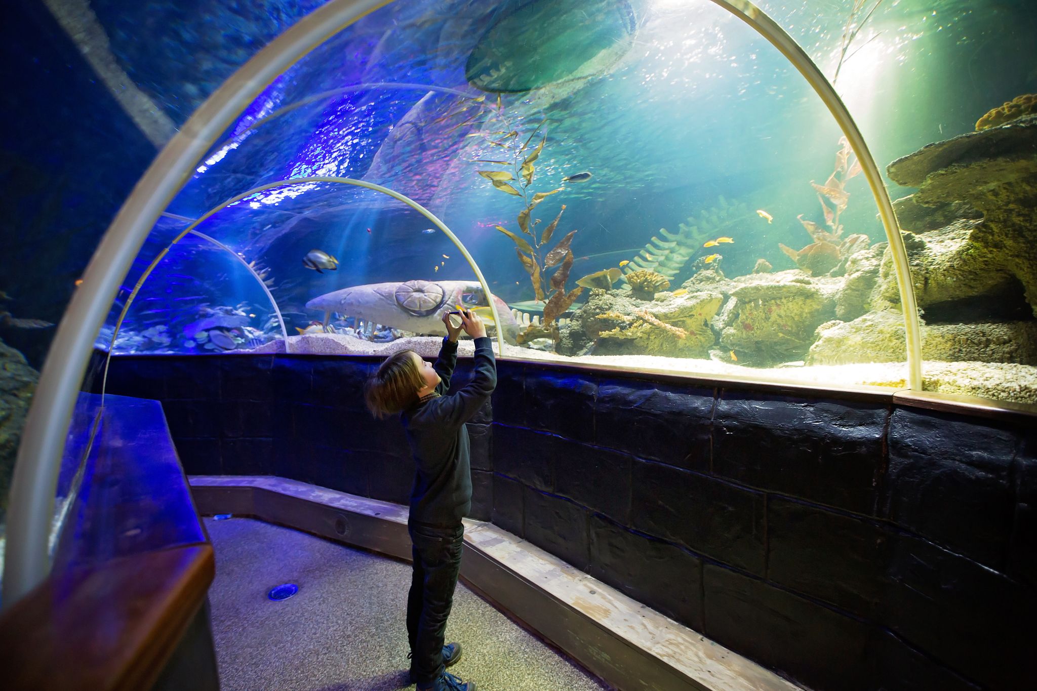 Photo of child enjoying the Underwater Tunnel In Helsinki, Finland.