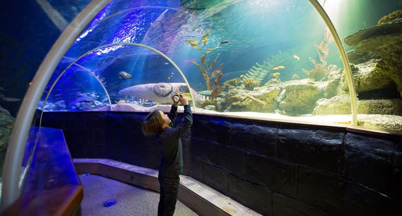 Photo of child enjoying the Underwater Tunnel In Helsinki, Finland.