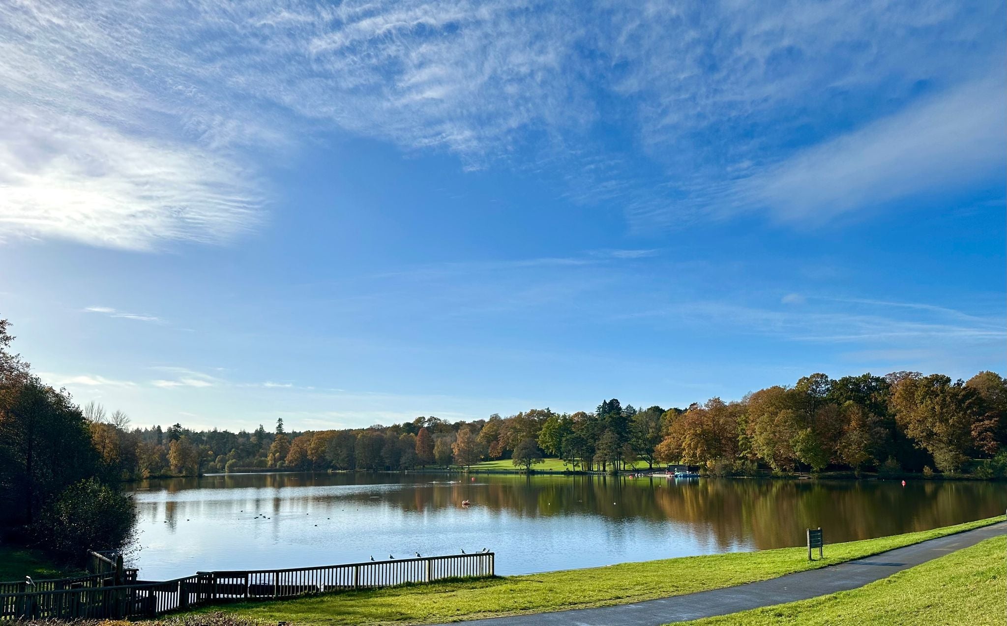 Photo of the Lake at Tilgate Park, UK.