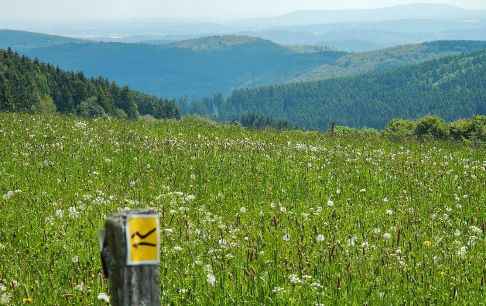 Naturpark Sauerland-Rothaargebirge, Schmallenberg, Hochsauerlandkreis, North Rhine-Westphalia, Germany