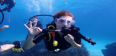 Mallorca: Try Out Scuba Diving in a Marine Nature Reserve
