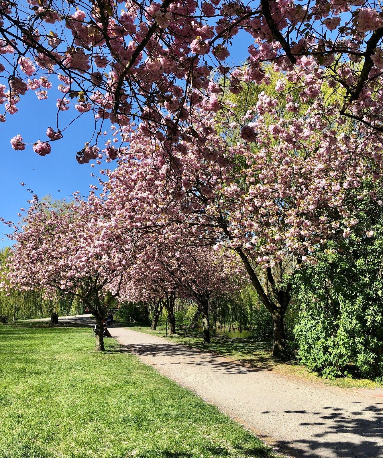Emder Wall, Emden, Lower Saxony, Germany