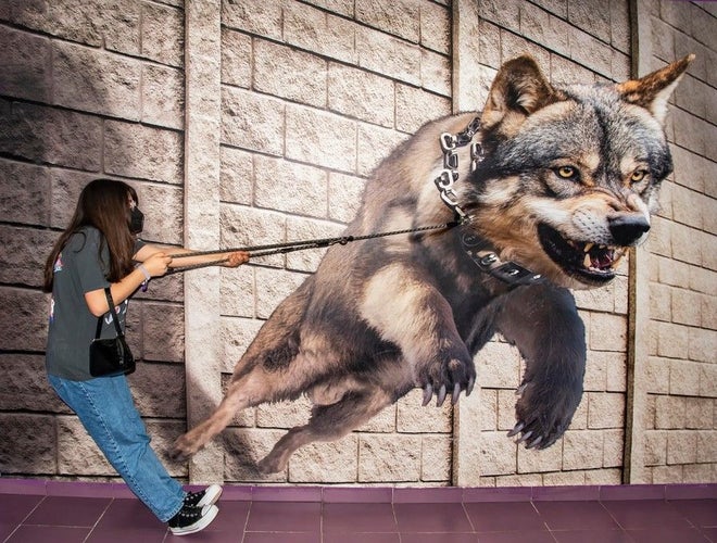 wolf-7140472_1280 (1).jpg