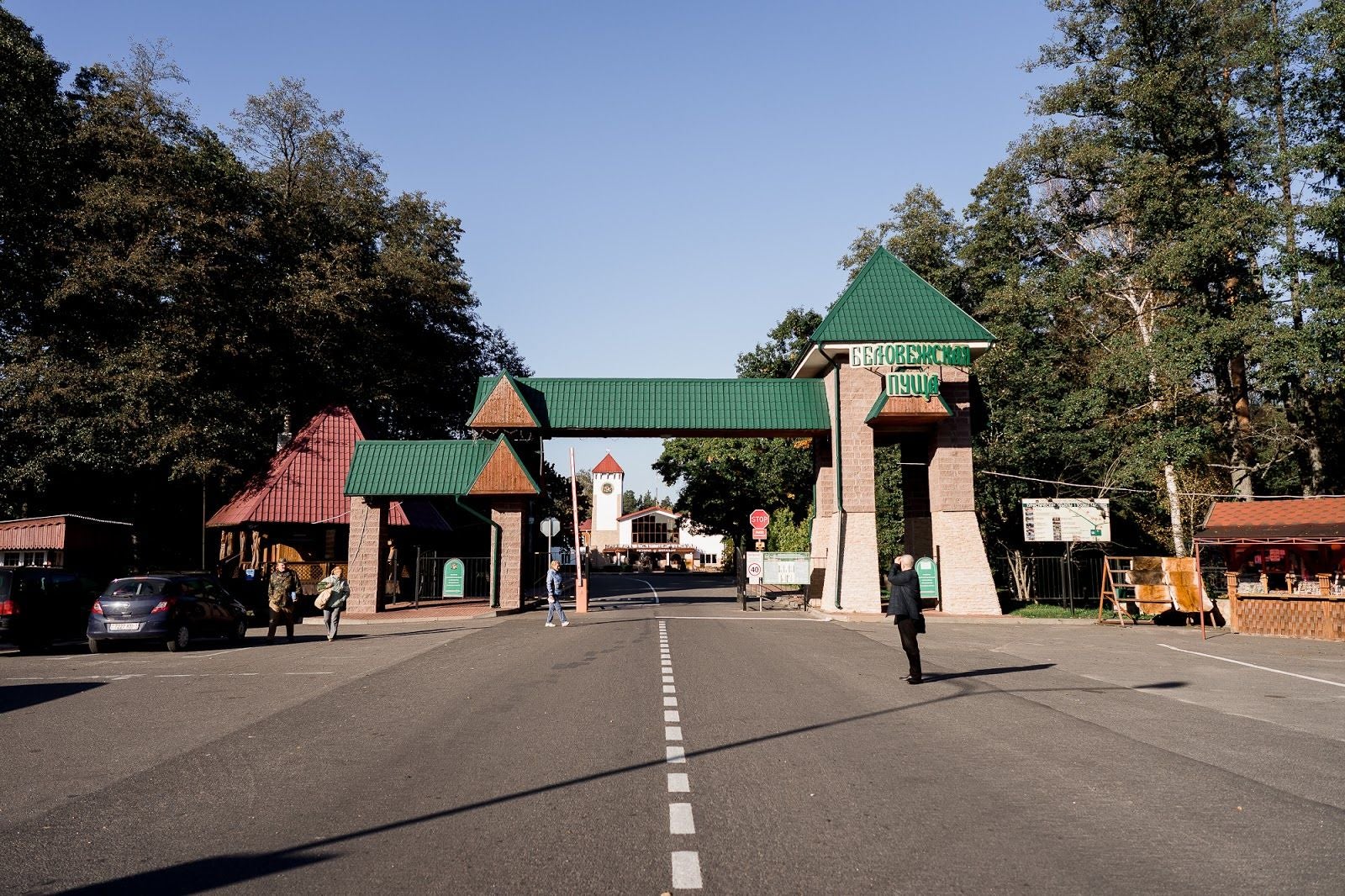 Bielaviežskaja pušča National Park, Каменюкский сельский Совет, Kamenets District, Brest Region, Belarus